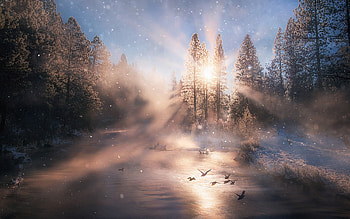 Sunbeam, sunbeam, nature HD wallpaper