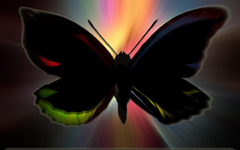 Butterfly, colors, abstract HD wallpaper
