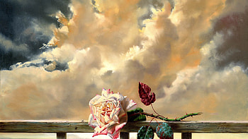 Flowers, Sky, Clouds, Rose Flower, Rose, Dry HD wallpaper