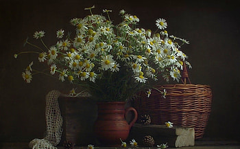 Still Life, basket, beautiful, flowers HD wallpaper
