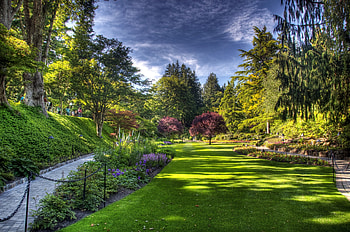 Nature, Trees, Grass, Sky, Chains, Vegetation, Garden, Lawn, Fencing, Enclosure HD wallpaper