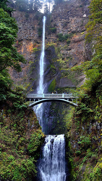 Bridge, , Waterfall, Tree, Waterfalls HD phone wallpaper