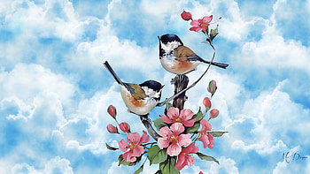 Spring Birds 2, Firefox theme, chickadees, birds, sakura, sky, spring, cherry blossoms HD wallpaper