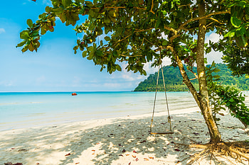 Beach, Swing, Sand, sea, Tree, Shore HD wallpaper