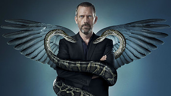 Dr. House, , Background , TV shows HD wallpaper