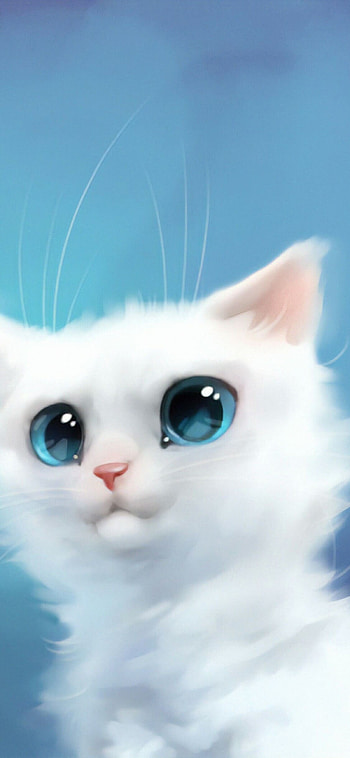 Cat , background HD phone wallpaper