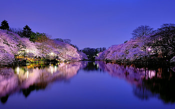 Japan | Best HD wallpaper