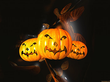 Really Scarey Pumpkins, pumpkins, halloween, faces, scarey, orange HD wallpaper