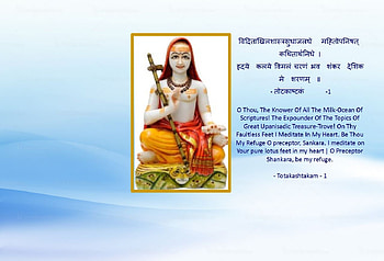 Adi Shankaracharya , Adi Shankaracharya, Hinduism, Spiritual, Adi Shankara HD wallpaper