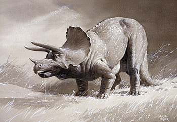 Triceratops, Mural , Artistic design, Surface view HD wallpaper