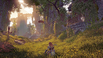 Horizon Zero Dawn, Aloy (Horizon Series) HD wallpaper