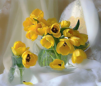 Still Life, petals, yellow, vase, tulips HD wallpaper