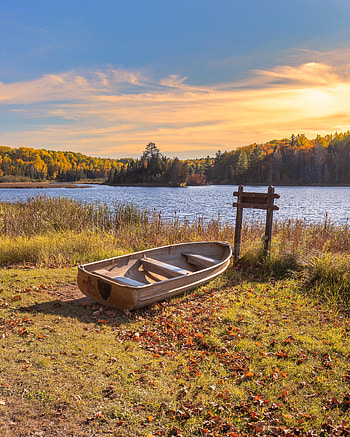 Nature, Trees, Autumn, Lake, Boat HD phone wallpaper