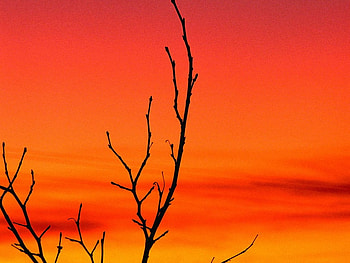Red sunset, red, sky, orange, sun, sunset HD wallpaper