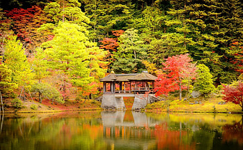 Autumn reflections, mirror, fall, beautiful, reflections, serenity, tranquil, lake, bridge, trees, autumn, forest, pond, foliage HD wallpaper