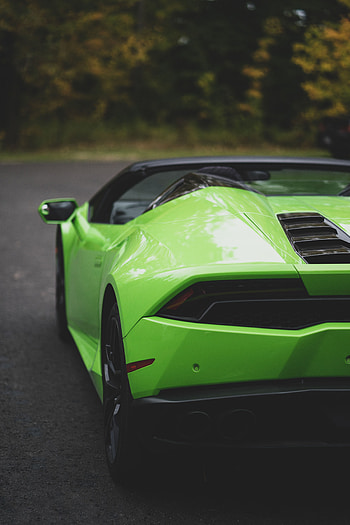 Lamborghini, Cars, Back View, Rear View, Lamborghini Gallardo HD phone wallpaper