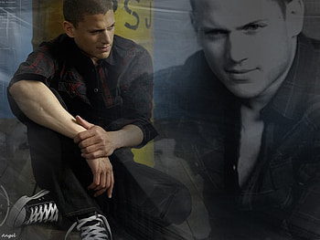 Wentworth Miller, hot, actors, prison break HD wallpaper