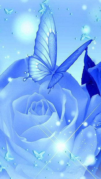 Blue Rose, Blue Flower, Butterfly, background HD phone wallpaper