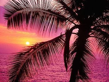Landscape, Sunset, Sea HD wallpaper