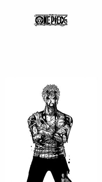 Zoro, Anime, One Piece, Manga HD phone wallpaper