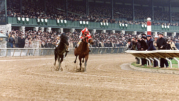 Seabiscuit, , Background HD wallpaper