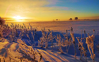 Cold winter morning sunrise in Saku, Estonia, lake, cattails, frozen, snow, landscape, sky, sun, ice HD wallpaper