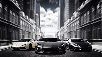 Lamborghinis Black And White , lamborghini, cars HD wallpaper
