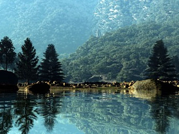 A PLACE TO REST, blue, trees, hills, water HD wallpaper
