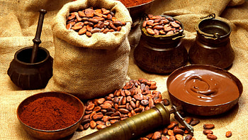 Cocoa , Top , Backgrounds HD wallpaper