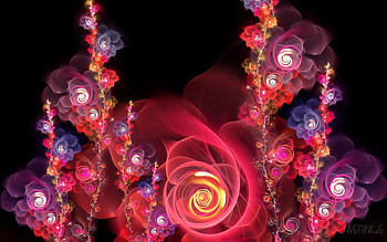 Roses, rose, pink, black, abstract, flower, fractal HD wallpaper