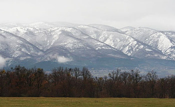 rodopy mountain, graphy, snow, green, bulgaria, trees, mountain HD wallpaper