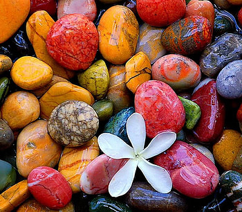 zen, plumeria, colorful, stones, beach HD wallpaper