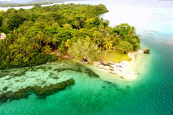 Tavanipupu Island, Solomon Islands, sea, island, paradisiac, turquoise waters, beautiful, grass, palm trees, beach HD wallpaper
