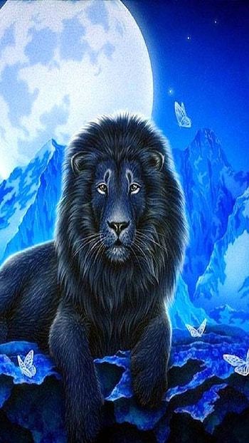 Black Lion, Blue Theme HD phone wallpaper