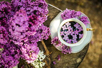 Flowers, Food, Lilac, Coffee, Wood, Wooden, Cup HD wallpaper