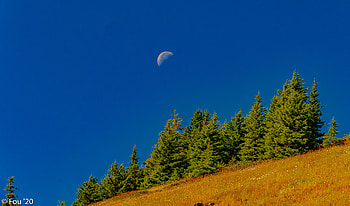 Landscape, Nature, Trees, Moon, Slope HD wallpaper