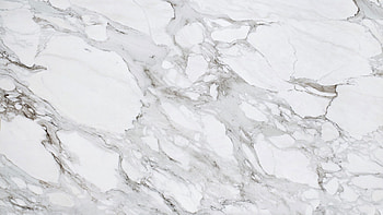 International marble experts, Perfect commercial structures, Architectural excellence, Top-quality services HD wallpaper