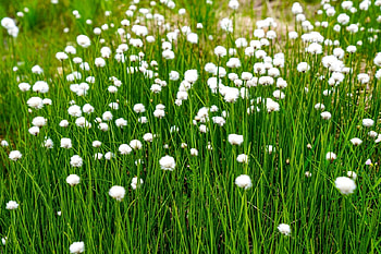 Bumbacarita, soare, vacanta, ploaie, cer HD wallpaper