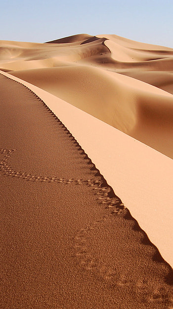 Desert dunes, Angola and Namibia, Natural wonders, Remote landscapes HD phone wallpaper