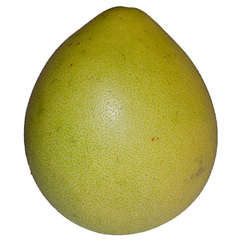 Pomelo Fruit, Imported fruit, Brazilian origins, Online order HD phone wallpaper