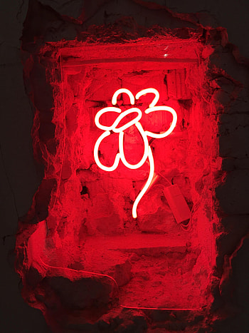 Flower, Dark, Neon, Glow HD phone wallpaper