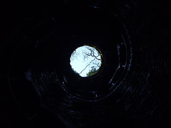 A dramatic upward view from inside a circular well in Sintra, Portugal. HD wallpaper