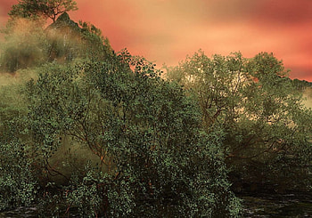 Misty morning, nature, 3d HD wallpaper