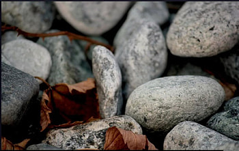 Stone, fall, , rocks, leaves, autumn, nature, leaf HD wallpaper