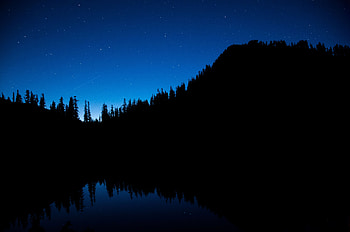Trees, Dark, Starry Sky, Night Sky HD wallpaper