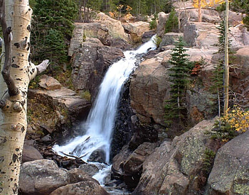 Alberta Falls, falls, trees, water, rock HD wallpaper