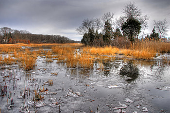 Frozen lake, grey, popular, r, seson, orange, beauty, lake, background, icy, autumn, nature HD wallpaper