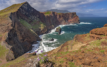 Madeira travels, Vibrant , Posted by John Johnson HD wallpaper