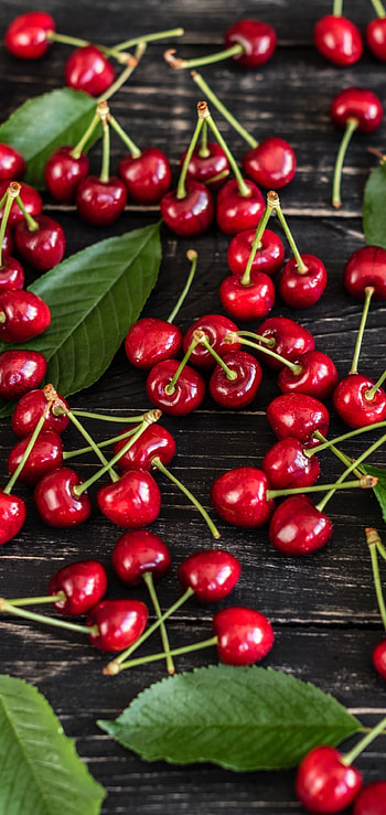 Cherry fruit, Fresh and tangy, Nutritious and vibrant, Nature's little gem HD phone wallpaper