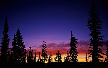 Landscape, Trees, Sunset, Sky HD wallpaper